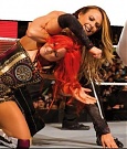 WWE_Ultimate_Superstar_Guide_003.jpg
