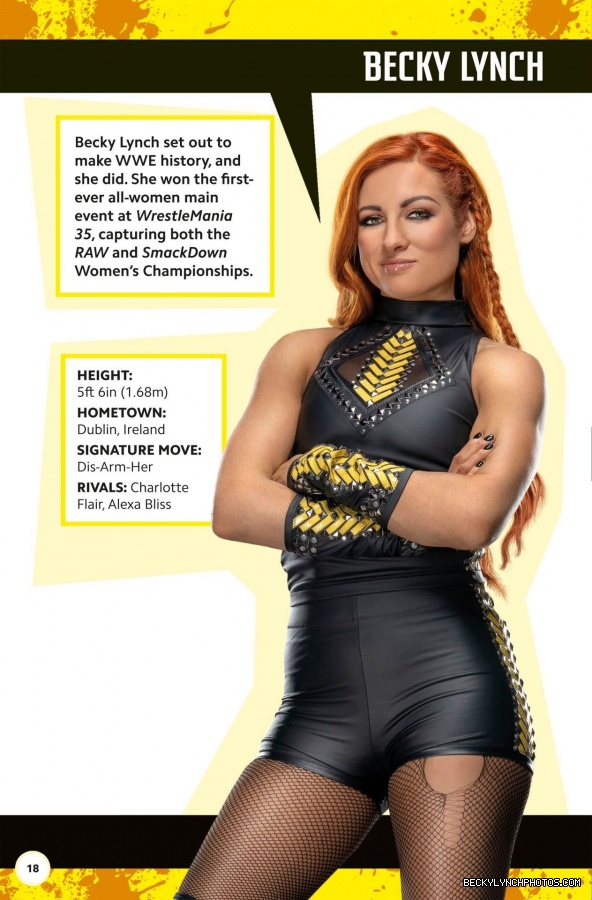 WWE_Superstar_Handbook_03.jpg