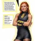 WWE_Superstar_Handbook_03.jpg