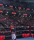 WWE00528.jpg