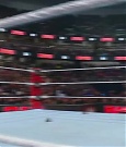 WWE01450.jpg