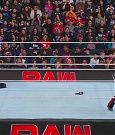 WWE01454.jpg