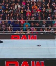 WWE01456.jpg