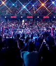 WWE01273.jpg