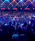 WWE01279.jpg