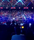 WWE01281.jpg