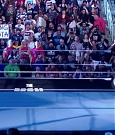 WWE01286.jpg