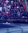 WWE01287.jpg